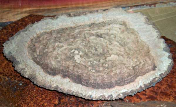 Nice Burl