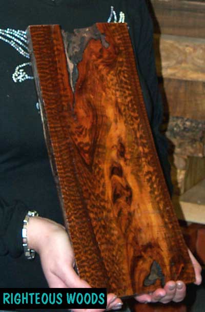Snakewood - Hmmmmmmmmmm