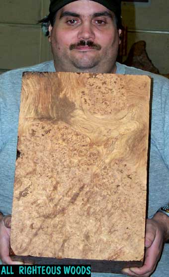 Fear me - I am Burl