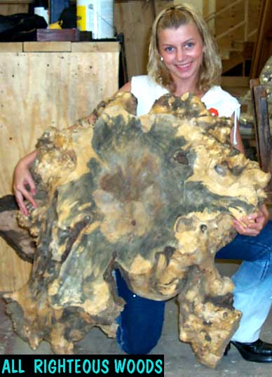 Buckeye Burl