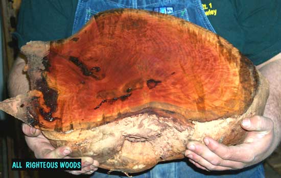 Eyeless Jarrah Burl