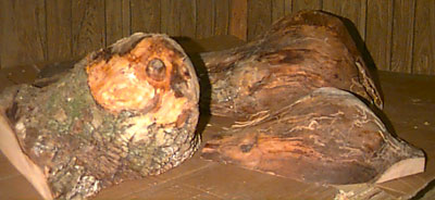 Ash Nubby Swirl Burls