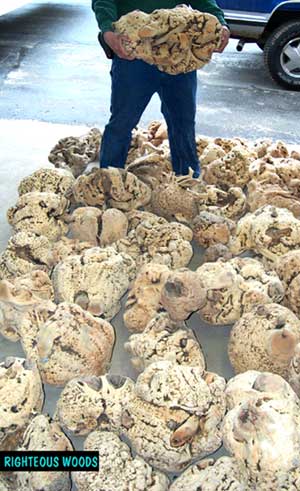 Nothing but Burl
