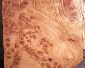 Nice Burl :)