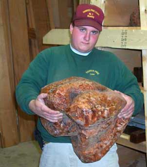 Thuya Burl whole
