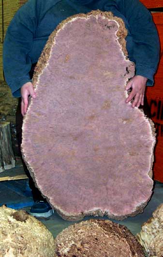 jarrah burl