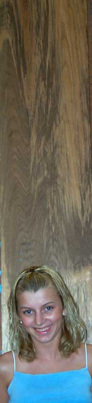 Burmese Teak