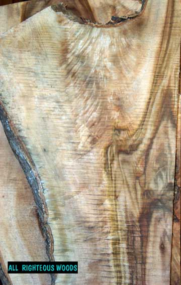 Burl Is Good