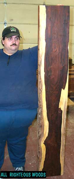 Chechen Burl