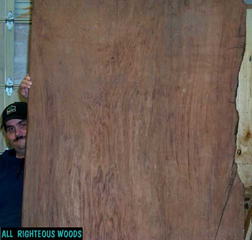 I am a large piece of wood